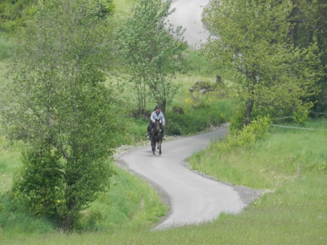 Rajd Mszana Górna 2015